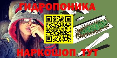 хмурый Новодвинск