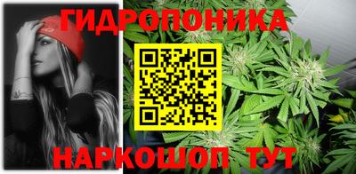 хмурый Новодвинск
