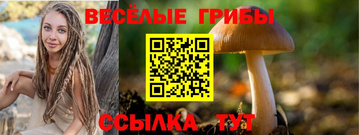 Бердск  Псилоцибиновые грибы мухоморы  Псилоцибиновые грибы Cubensis  Вход с VPN 